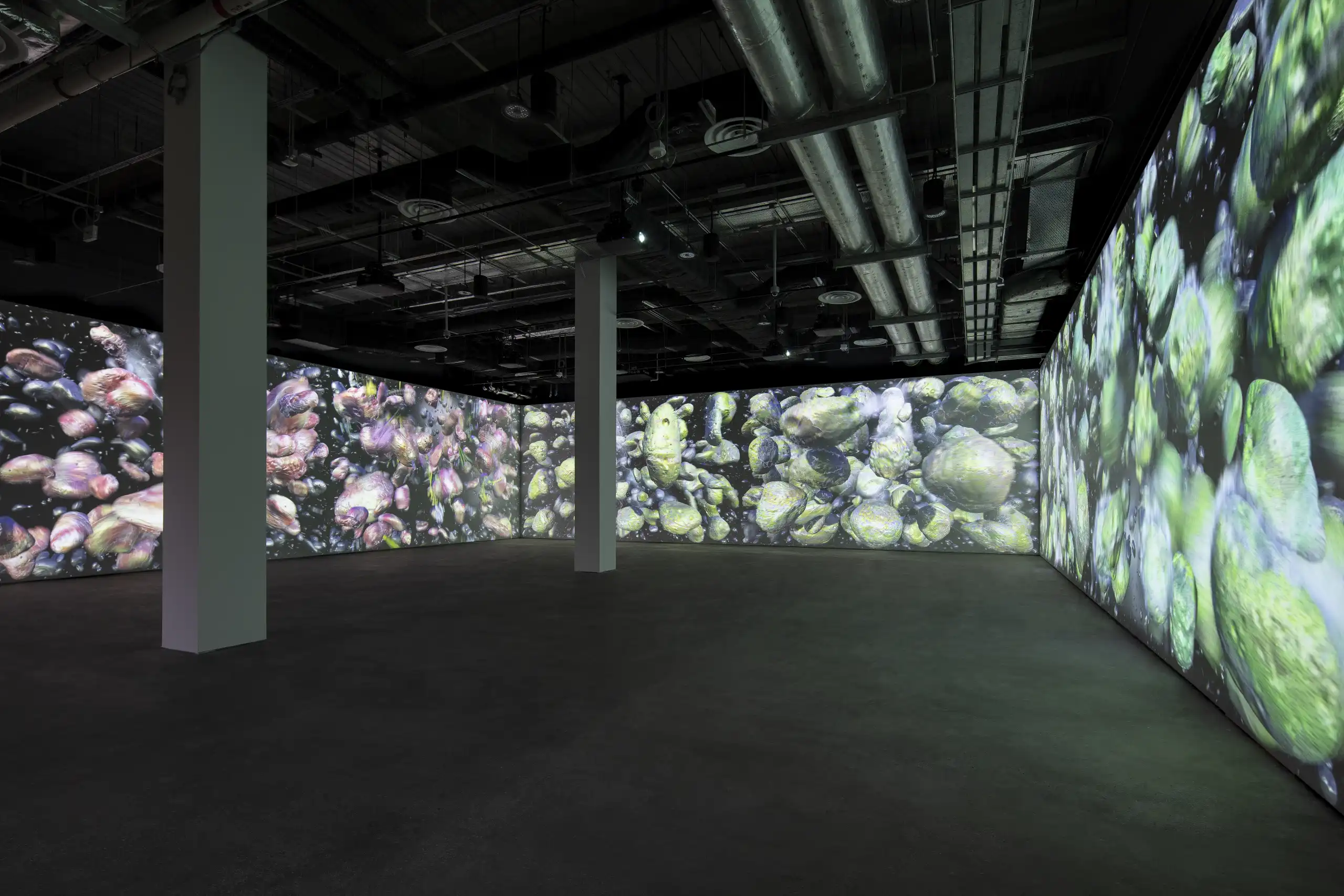 Gallery installation with framed artworks on display